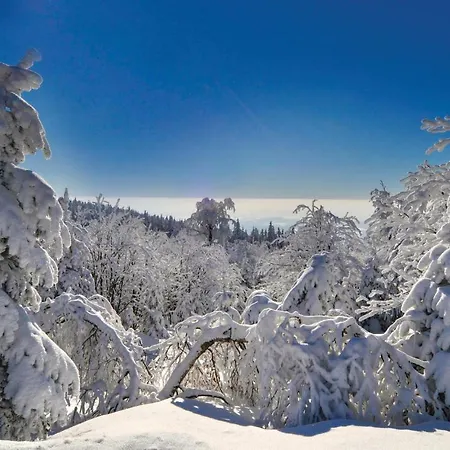 Seven-bedroom Holiday In Casa vacanze
